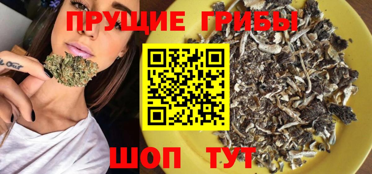Советский  Галлюциногенные грибы Psilocybine cubensis  Галлюциногенные грибы Magic Shrooms  Вход с VPN 